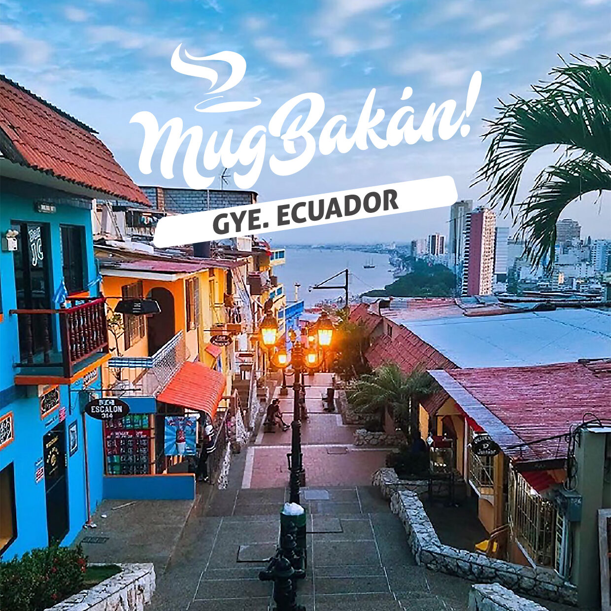 Colección Guayaco